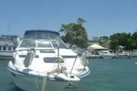 Bayliner Sunbridge