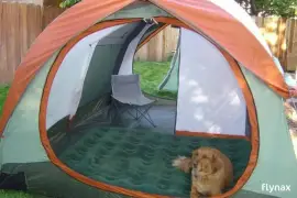 Field & Stream 10\\'x18\\' Estate 8 Person Dome