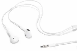 Apple In-Ear Headphones with Remote and Mic