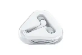 Apple In-Ear Headphones with Remote and Mic