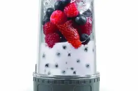 Ninja 1100W Professional Blender
