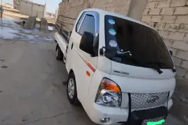بورتر   2010 اوروبية 